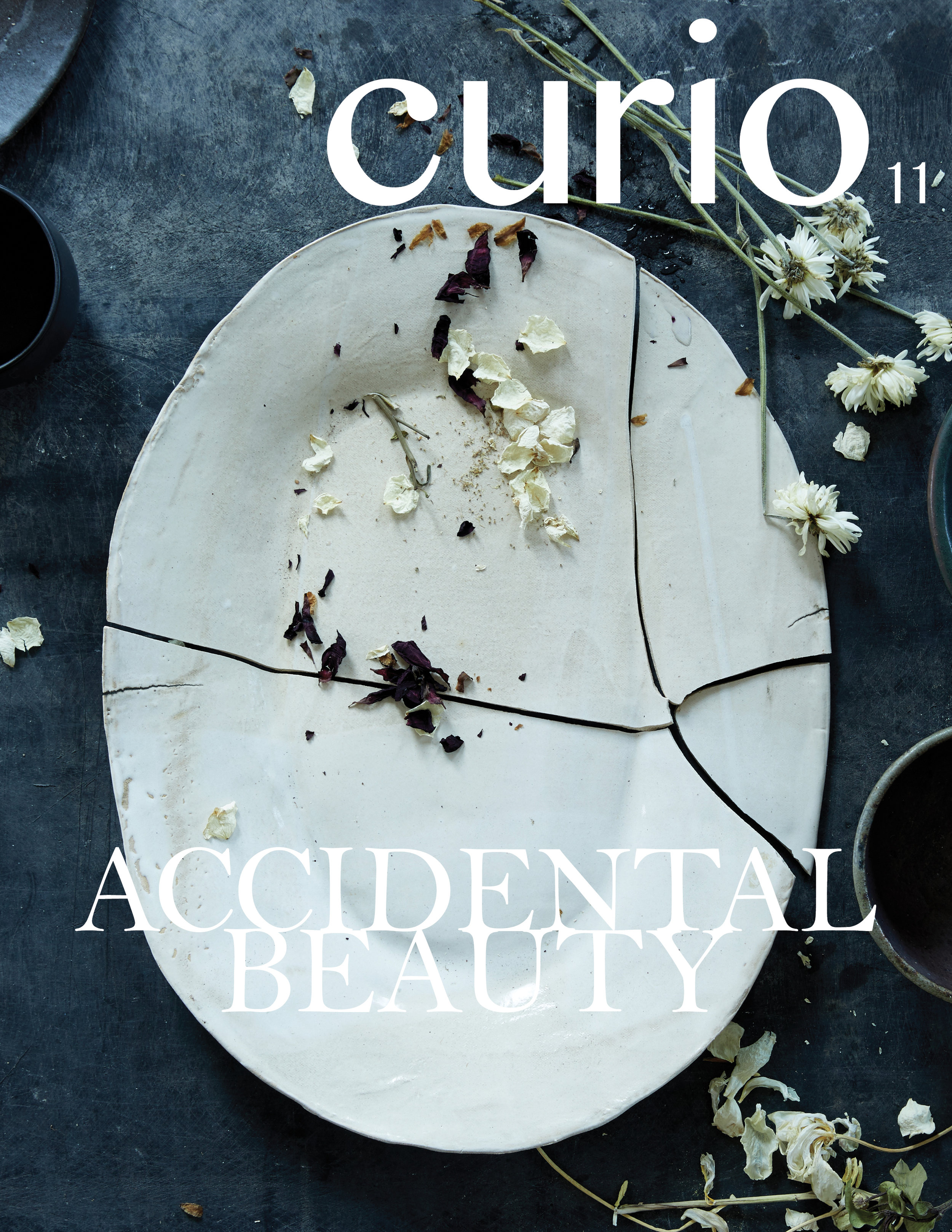 ISSUE 11: ACCIDENTAL BEAUTY