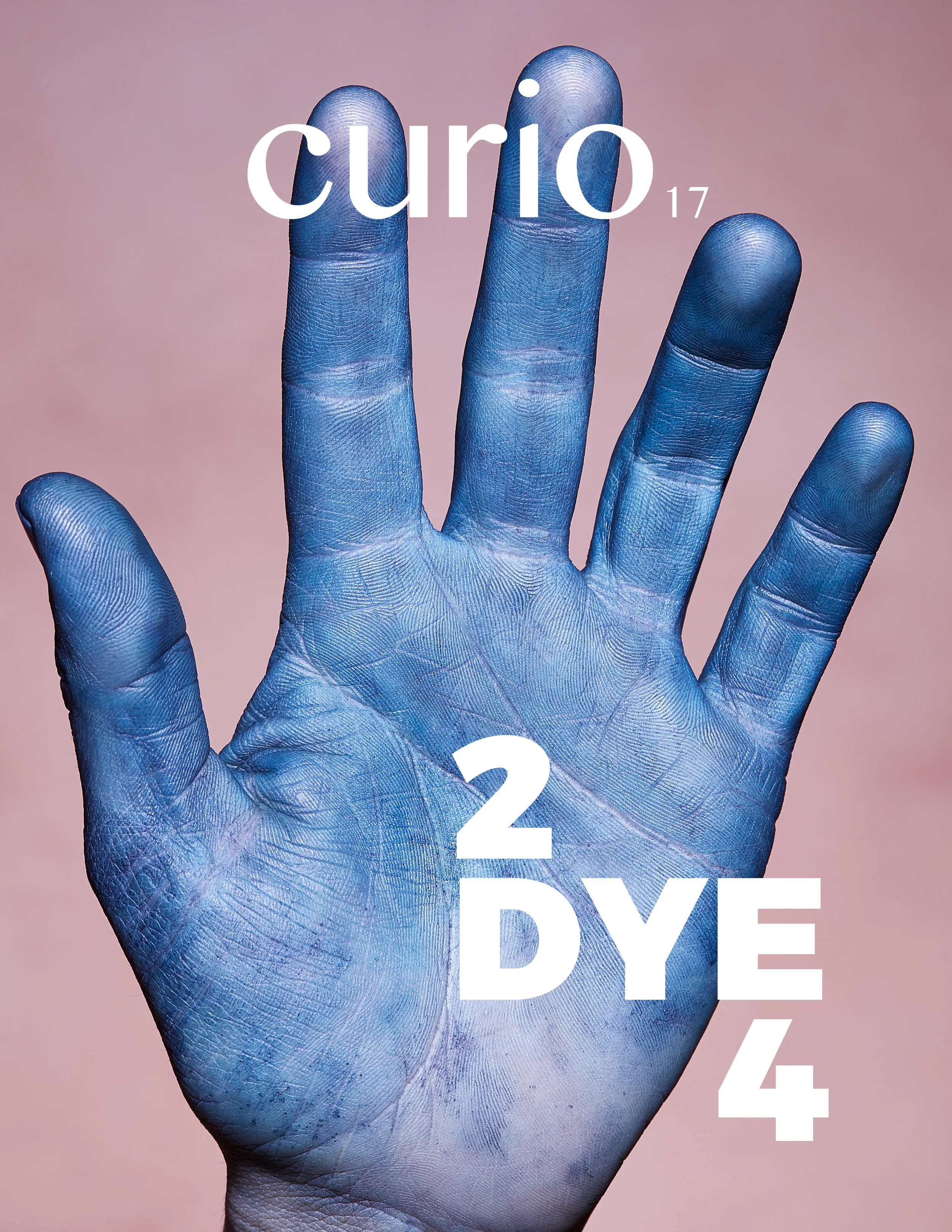 Curio 17_.jpg