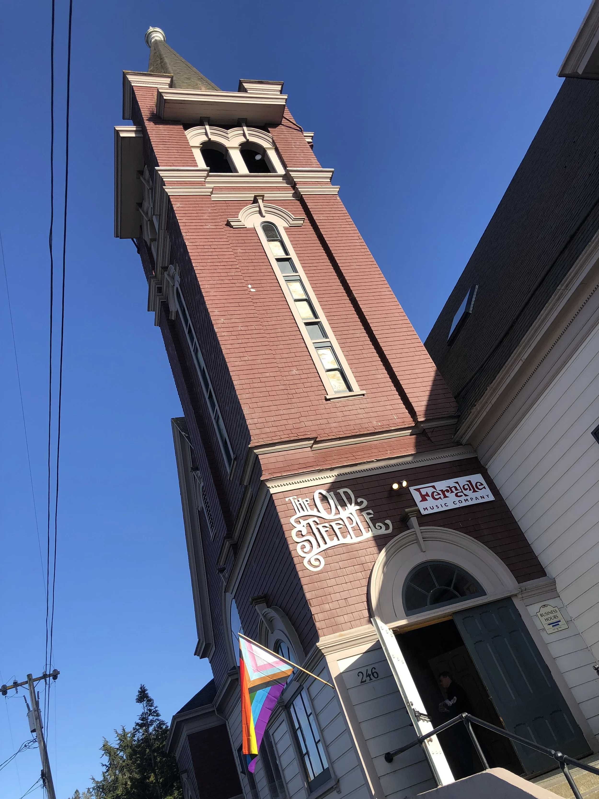 Ferndale Pride March