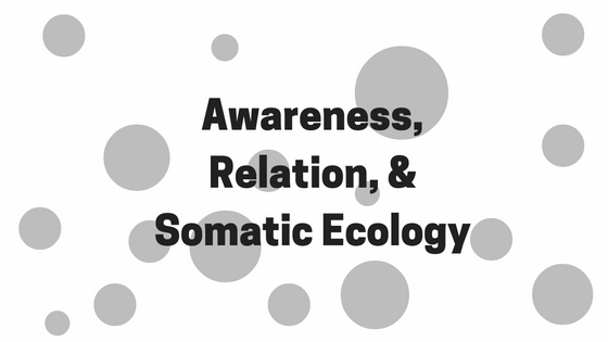 Awareness, Relation, and Somatic Ecology
