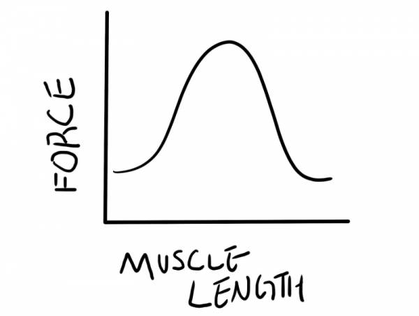 force_length.jpg