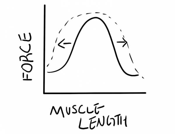 widerforcegraph.jpg