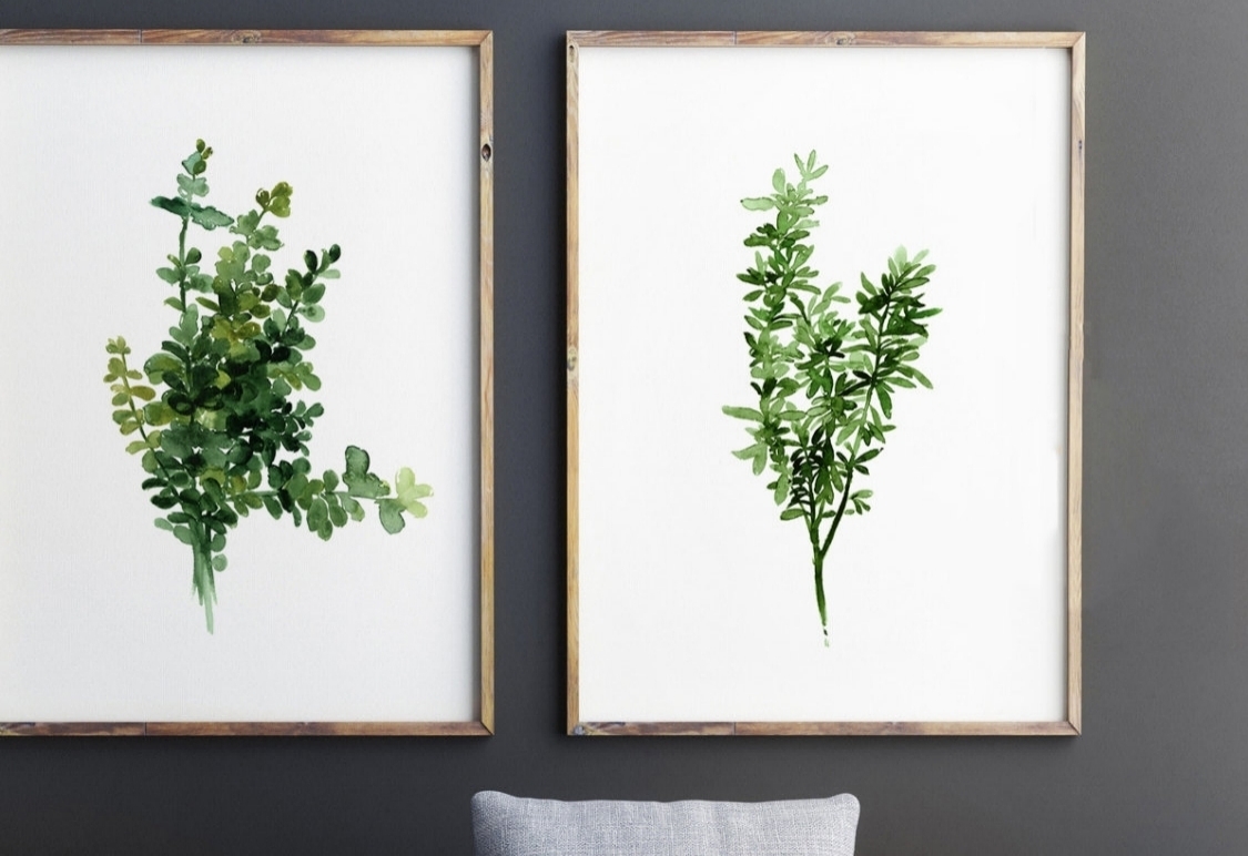 Thyme Watercolor Paintings, starting @ $25