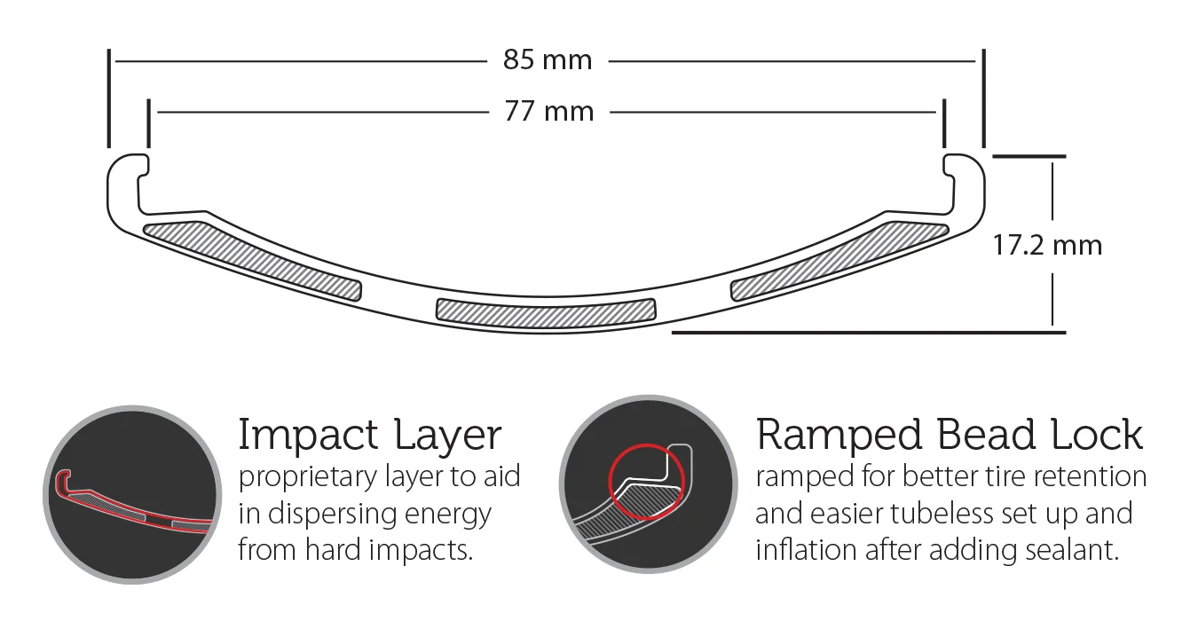 Phatty - Rim Profile Specs.jpg