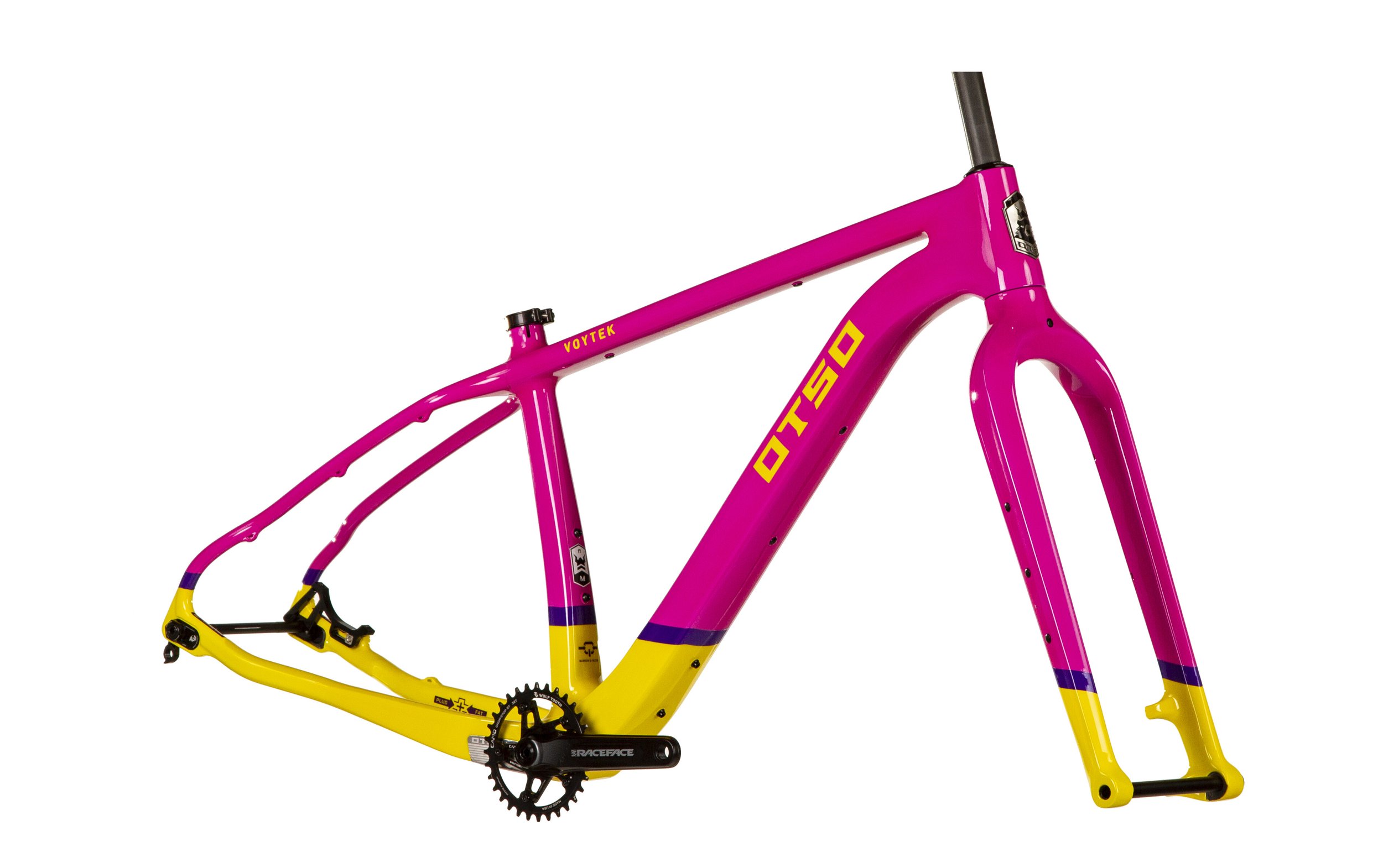 OT_Voytek_PinkSunflower_3Q_frameset.jpg