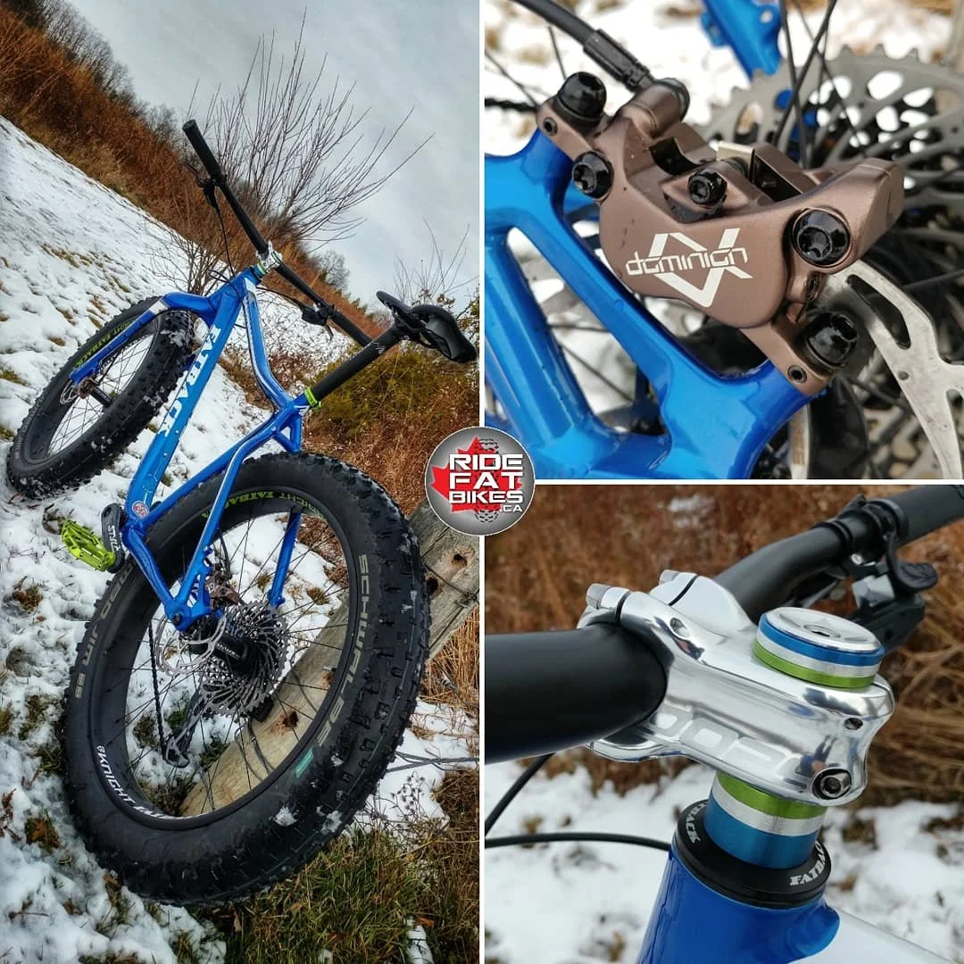 RideFATbikes.ca - custom Fatback Rhino FLT.jpg