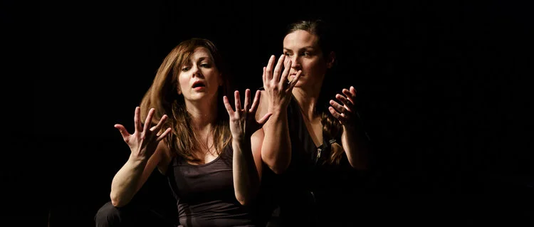 third thing eebird.jpeg