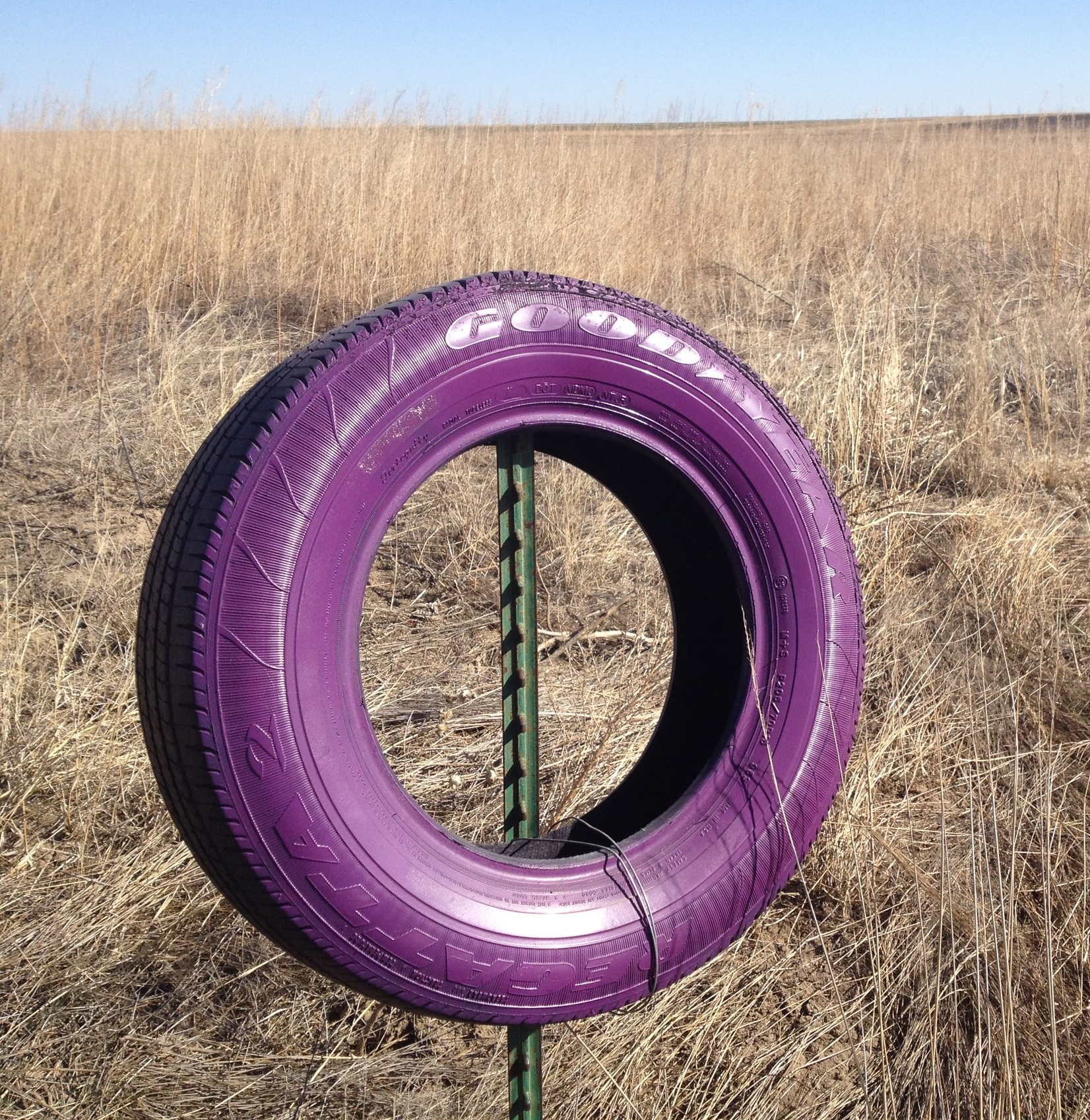 Purple paint on fence posts or other markers is an acceptable way of marking private property and carries the same weight as a "No Trespassing" sign.