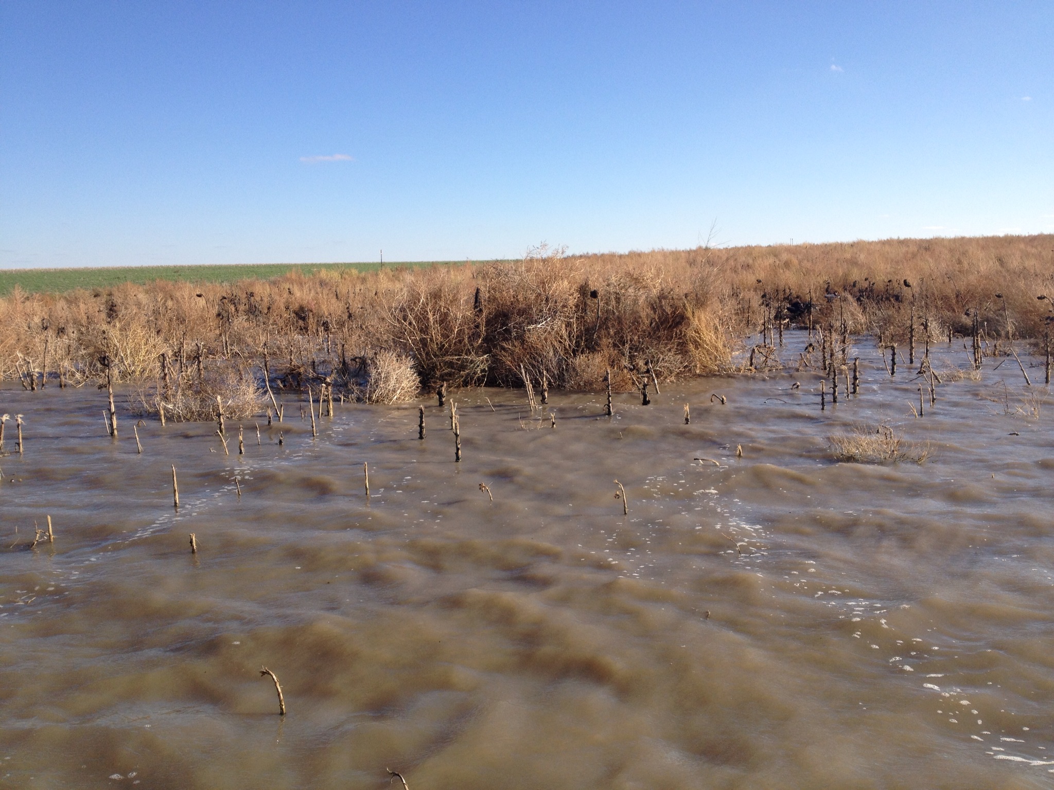 A duck blind on a hunting lease. Evictions can take place for duck blinds, where a tenant may have leased the opportunity to hunt from said duck blind.