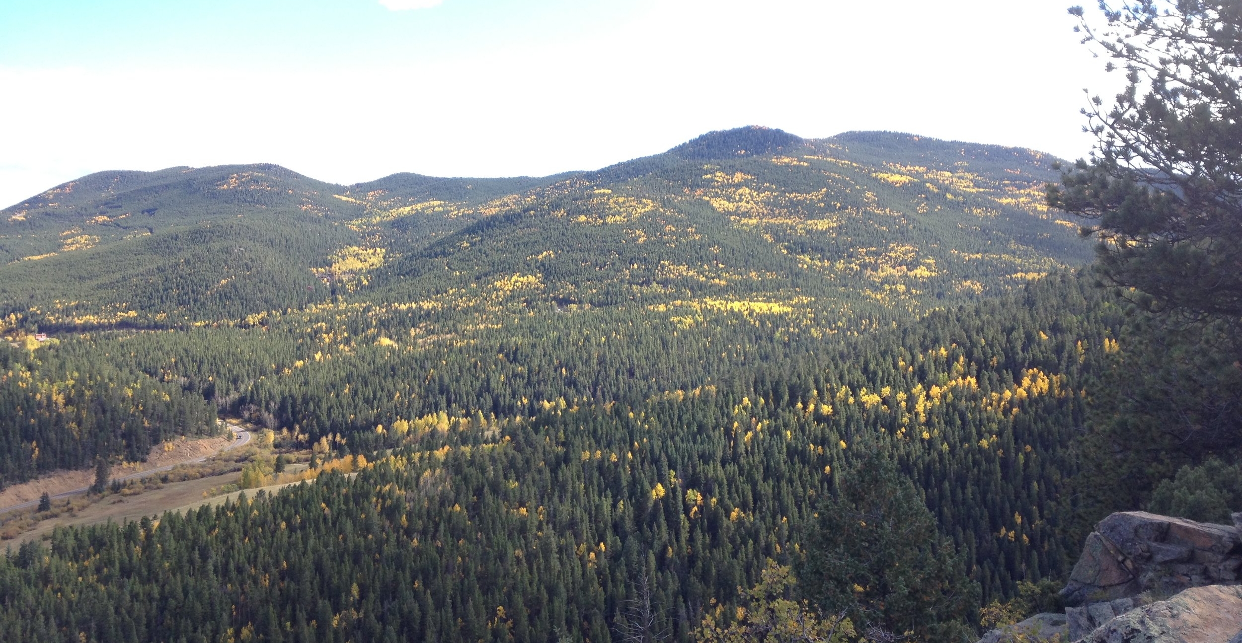 Colorado has beautiful and unique hunting opportunities. Receiving a Colorado Hunting Violation for a small error can be a humbling experience, but a hunting violation attorney consultation on your rights can help you get back on the mountain in no time.