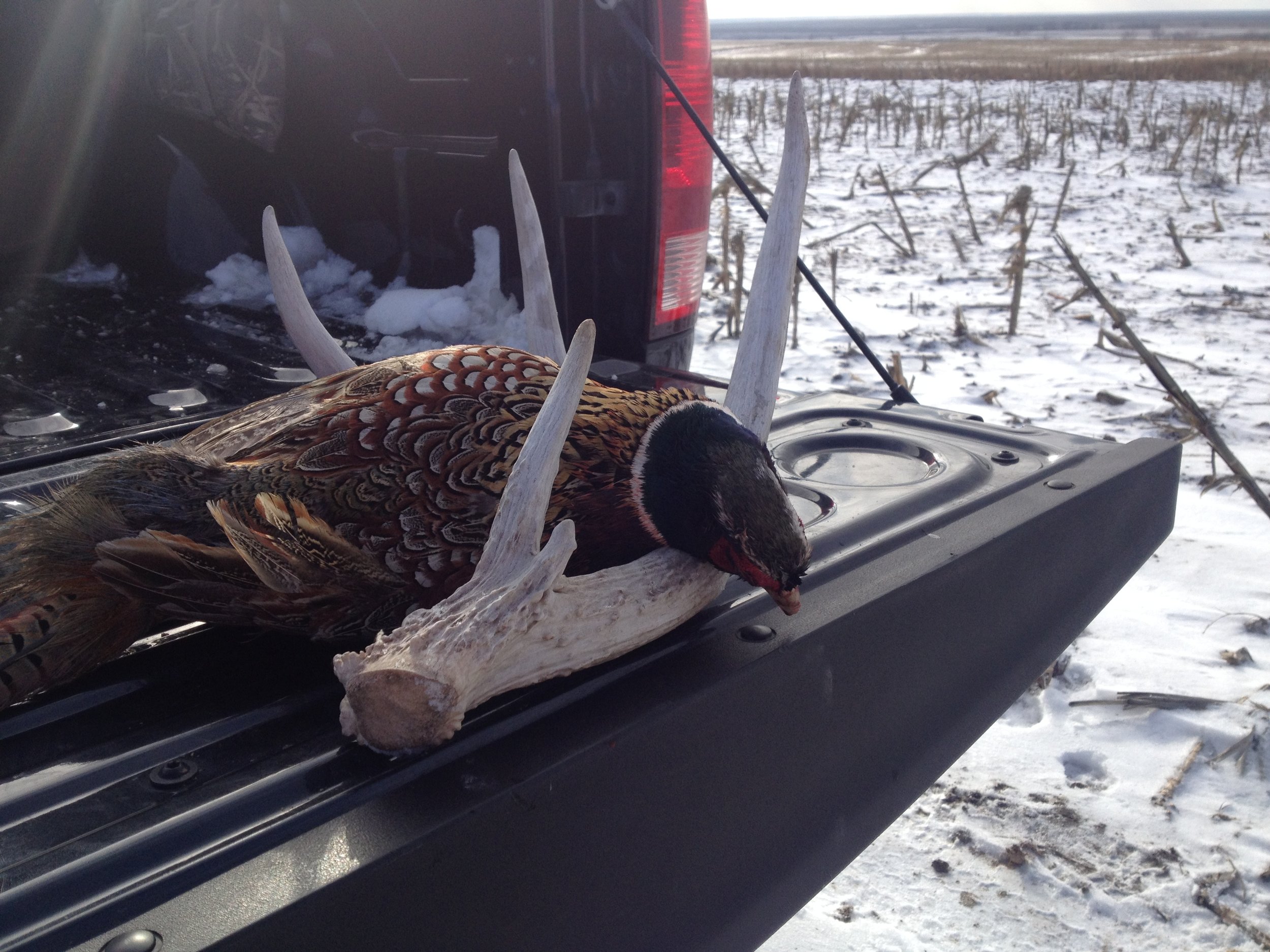Kansas has incredible hunting opportunities from big game, to waterfowl, to upland. A trip to the Wheat State can be soured by a hunting violation or ticket, but consulting with an attorney about your options can help get you back out on those golden plains and pursuing the game of your choice.