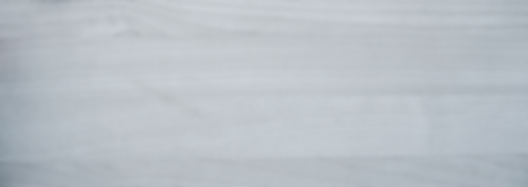 texture08.jpg