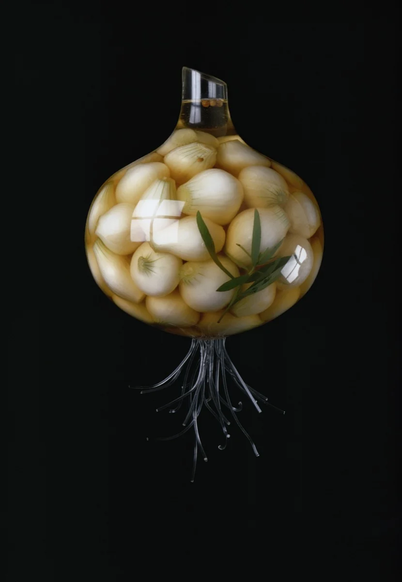 Glass Onion