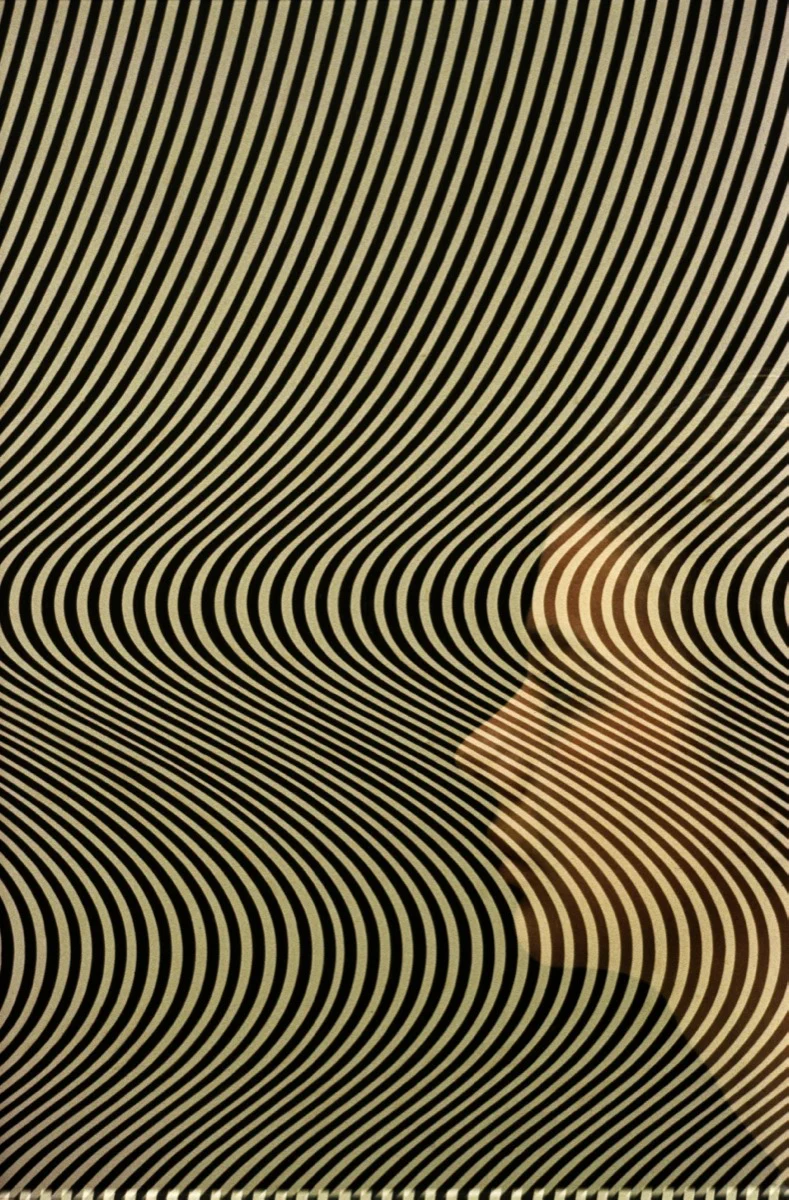 Bridget Riley