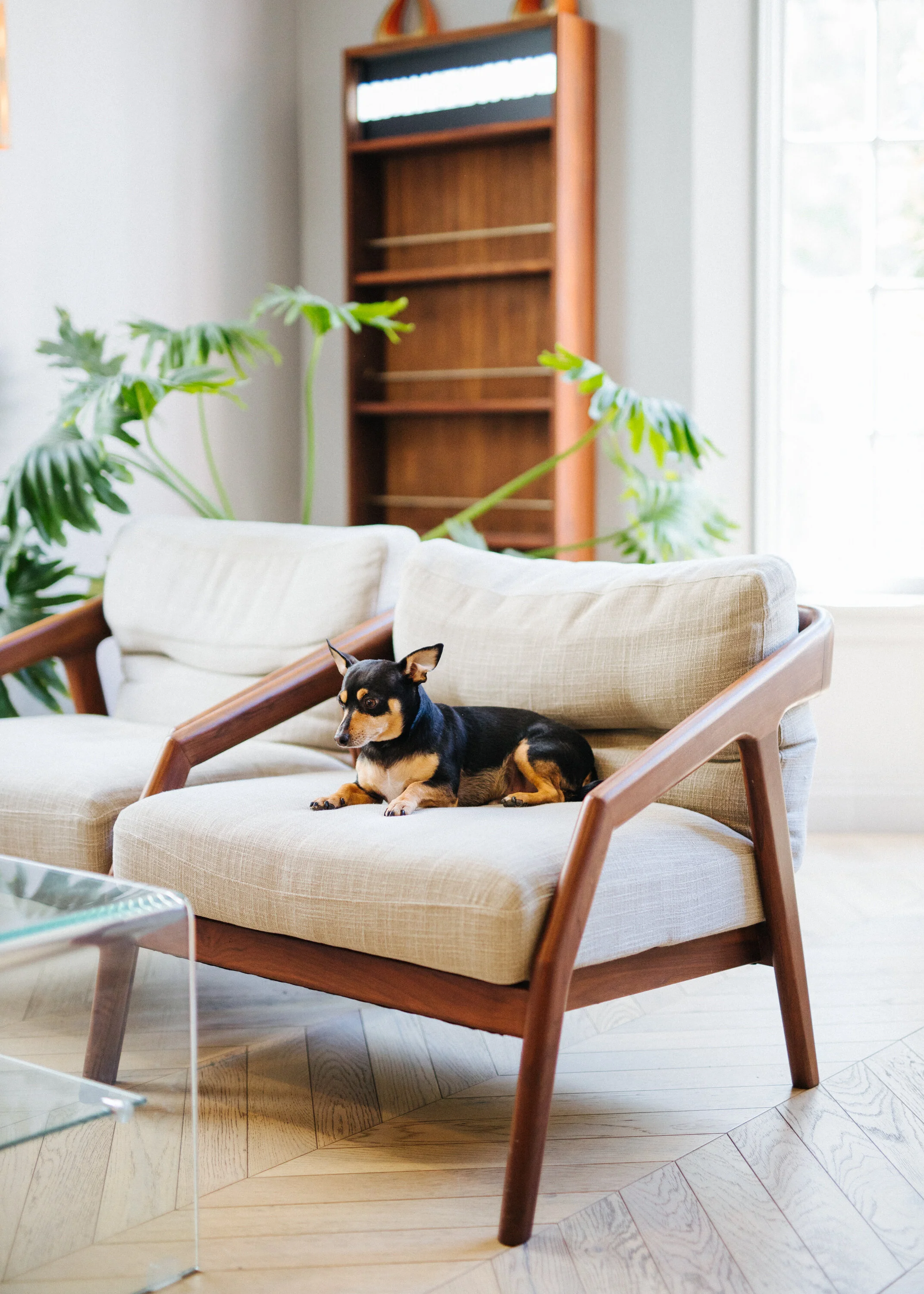 palihotel_sarahkuszstudio_06.JPG