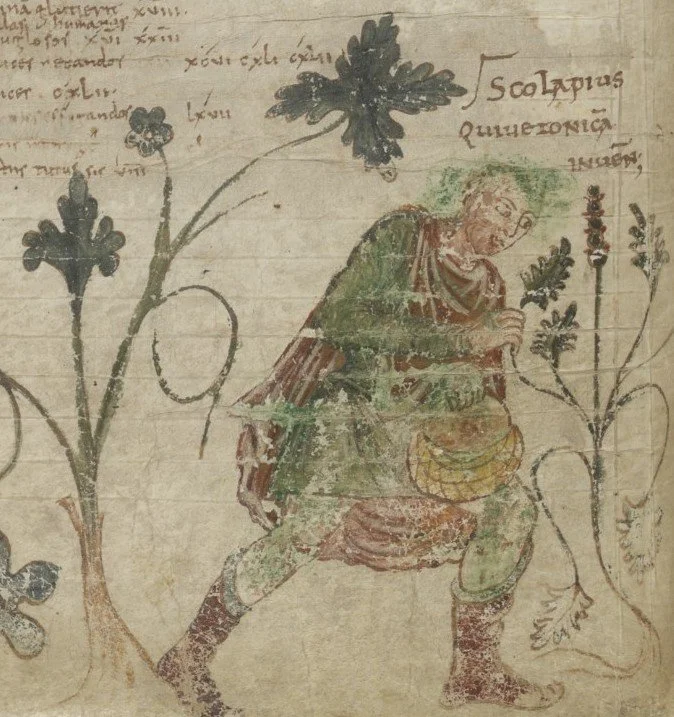 Asclepius_potential_cover_image.jpg