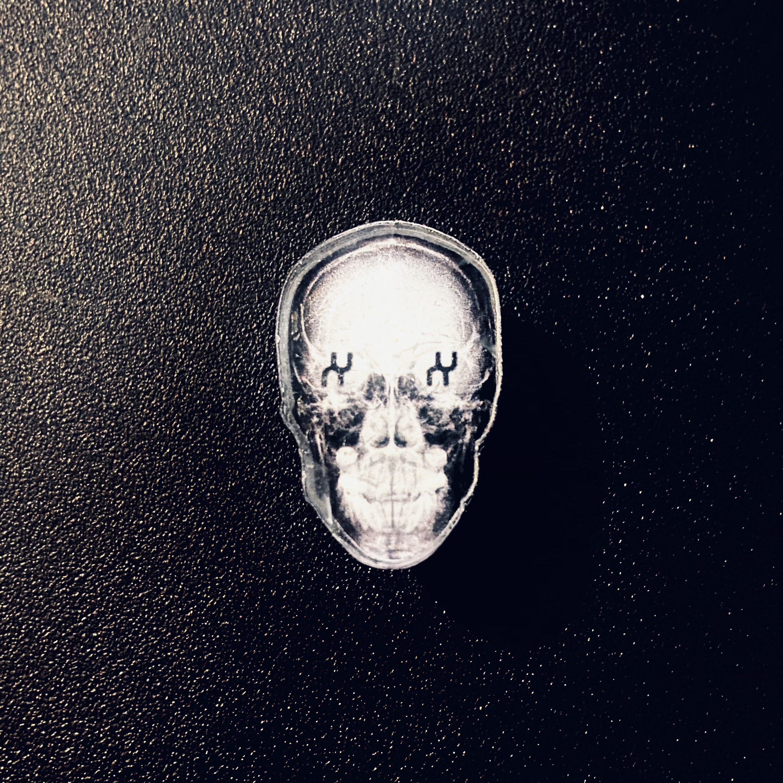 XAMBUCA_acrylic-skull_pin.png