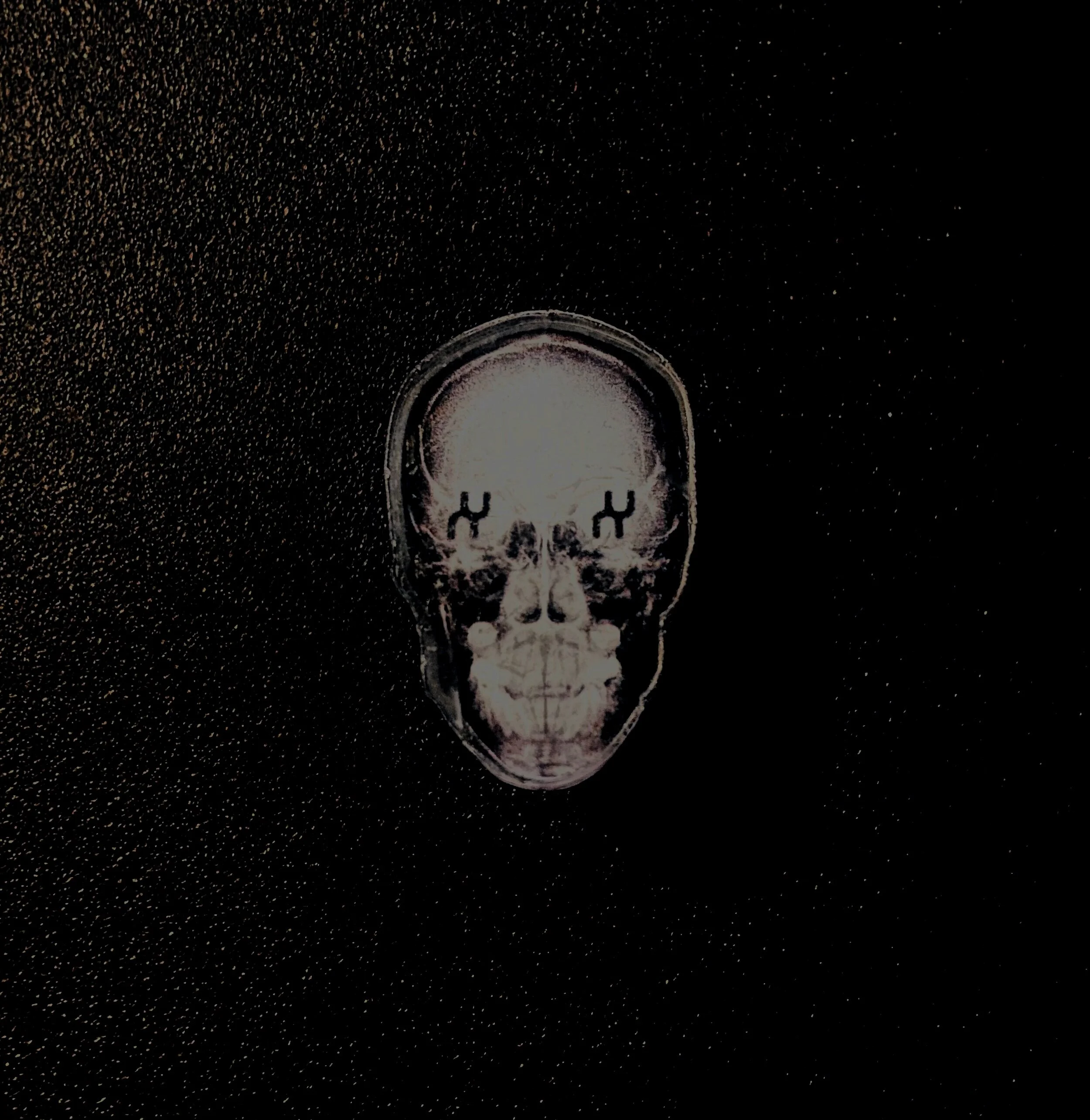XAMBUCA Acrylic X-Ray Skull Pin with Transparent edge