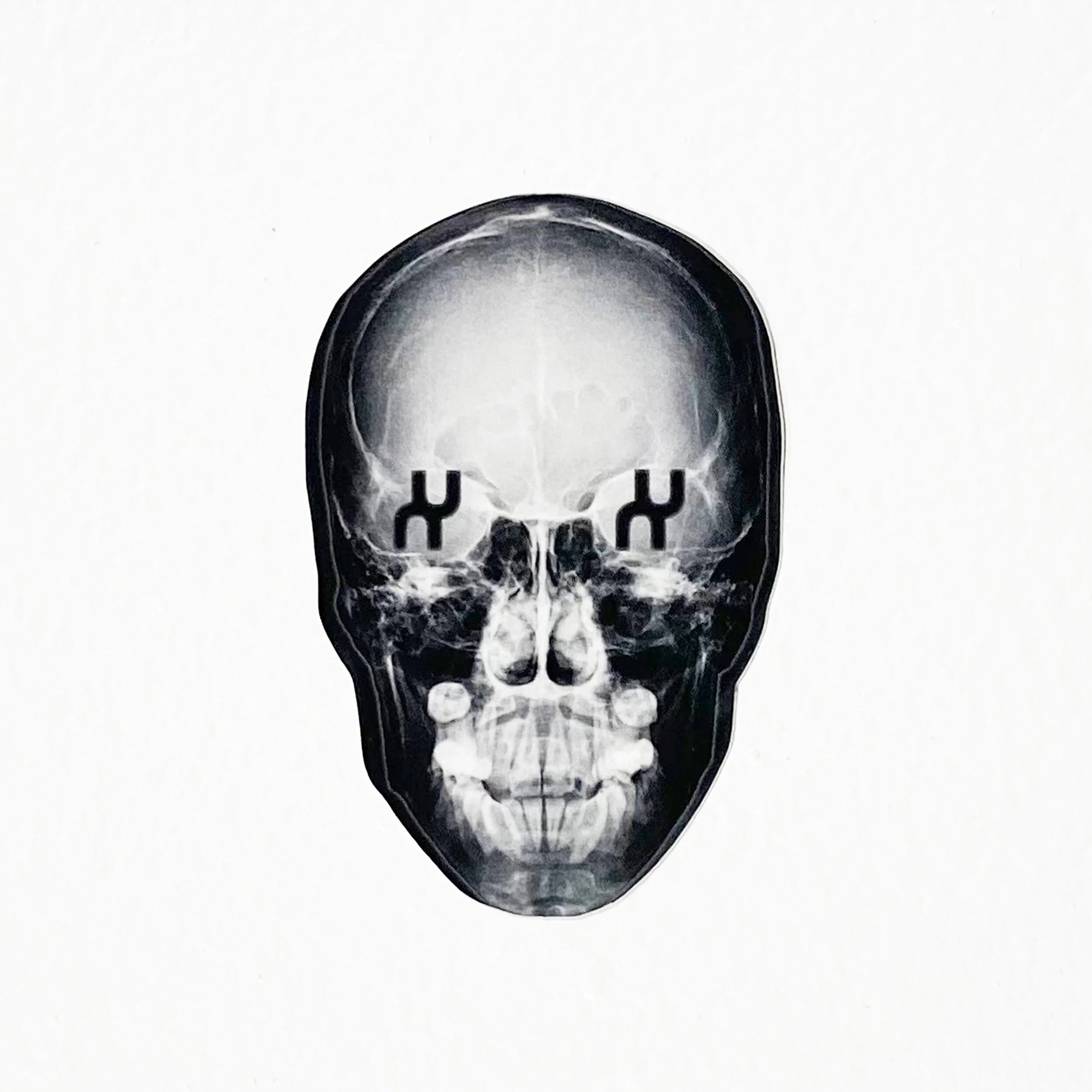 xrayskullsticker.jpg