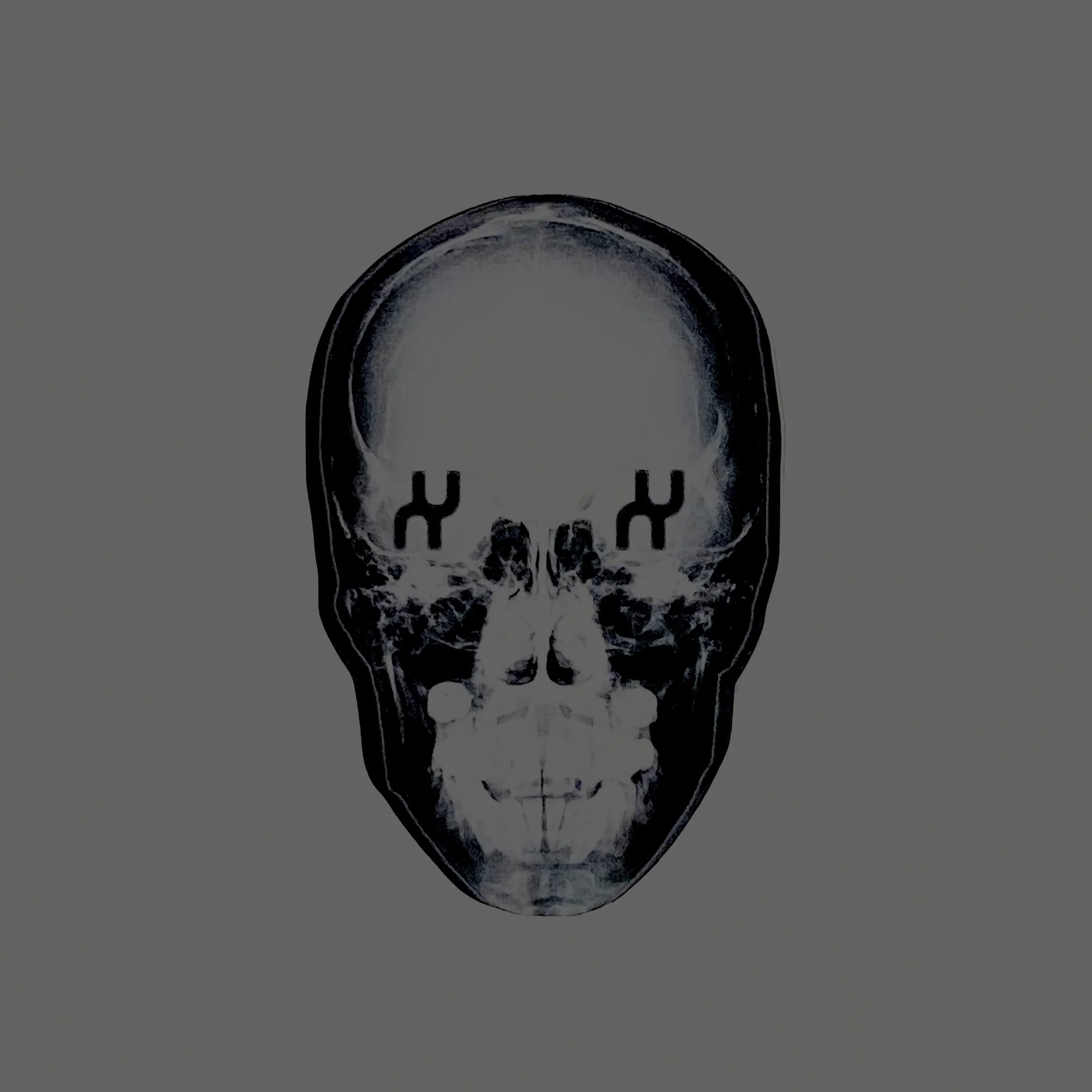 XAMBUCA X-Ray Skull Sticker
