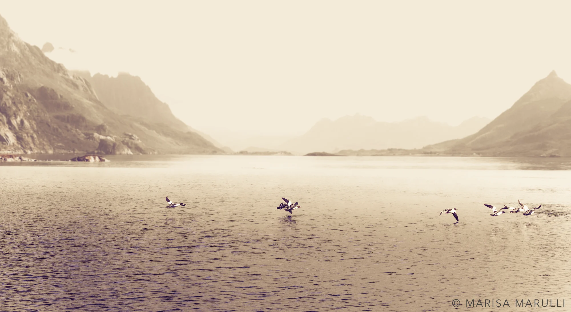 Continue | Lofoten, Norway | Jun 2016