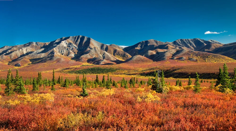 Alaska Photography Workshop Marisa Marulli fall.jpeg
