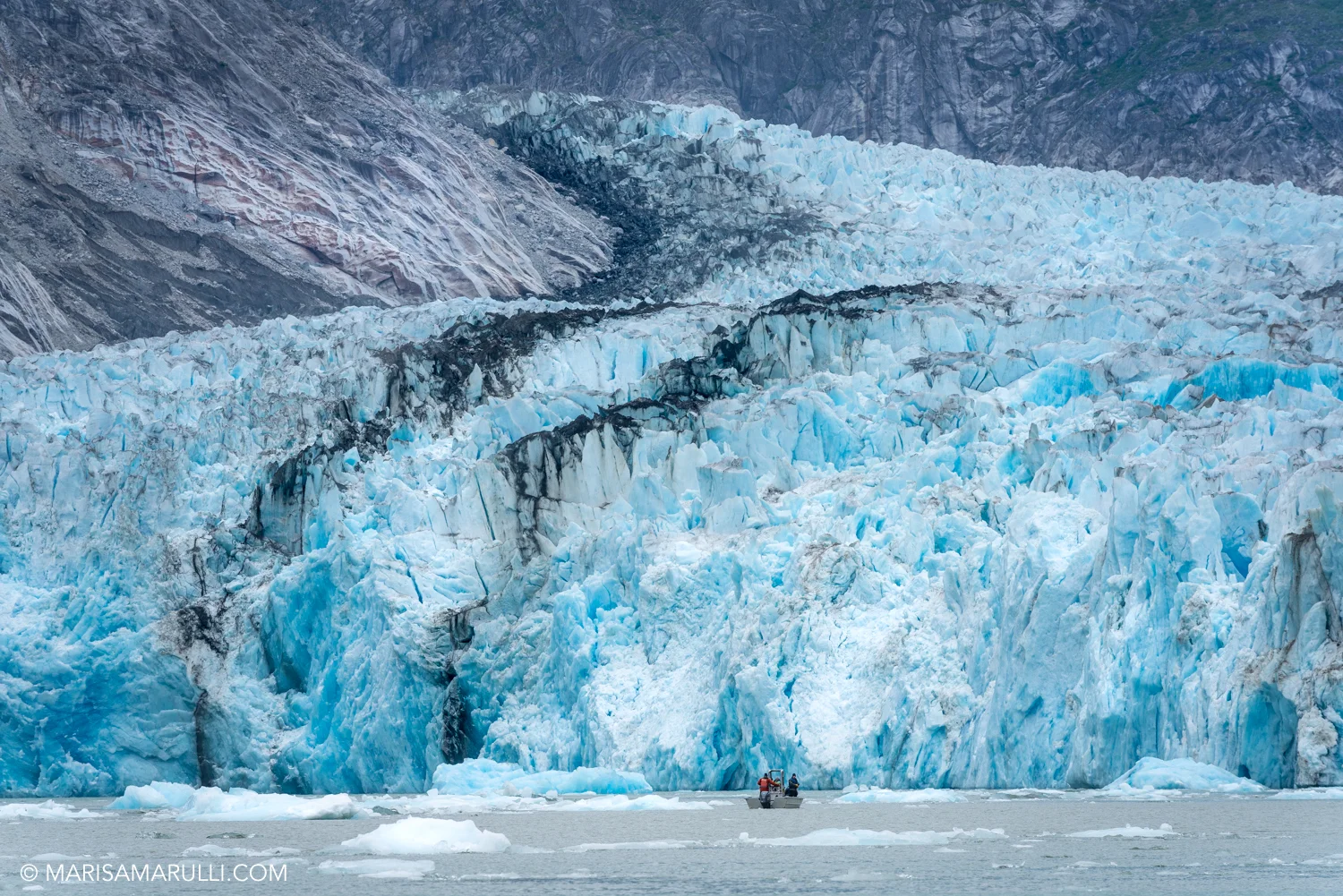333-2_Photo By Marisa Marulli_Tongass National Forest_Alaska.jpg