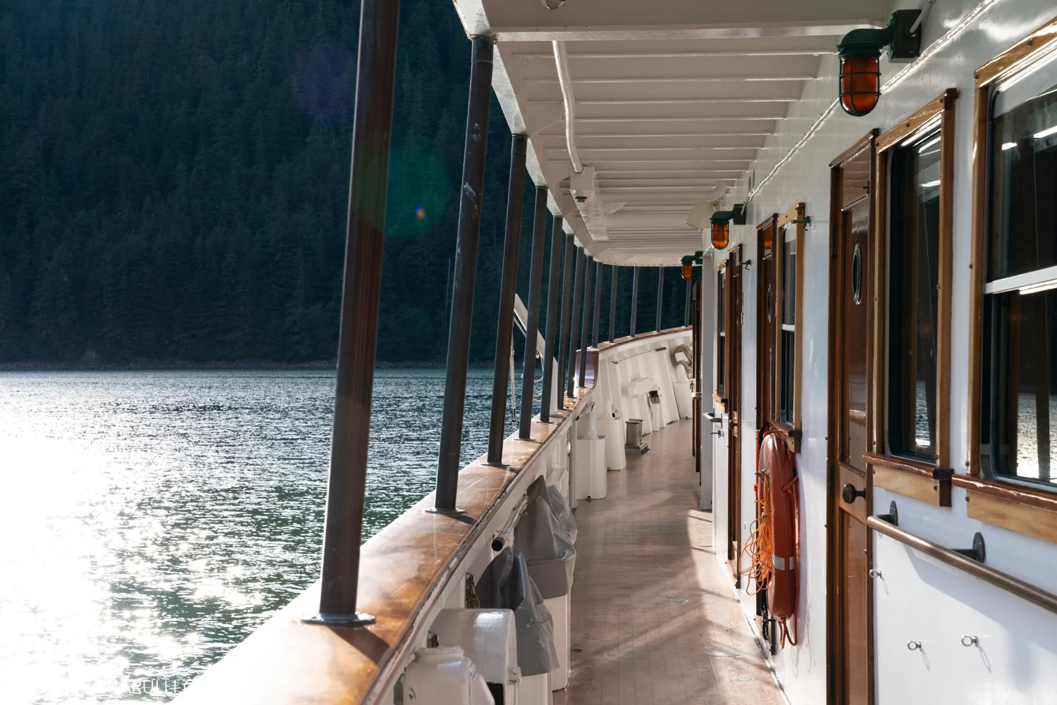 693_Photo By Marisa Marulli_Alaska_Tongass national forest.jpg