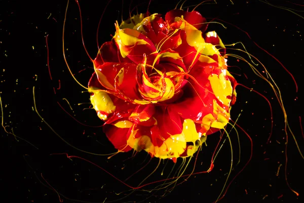 Image I captured in our latest local workshop: High Speed Photography