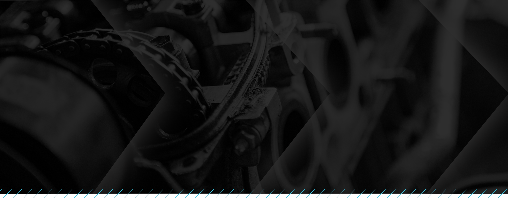 banner5.png