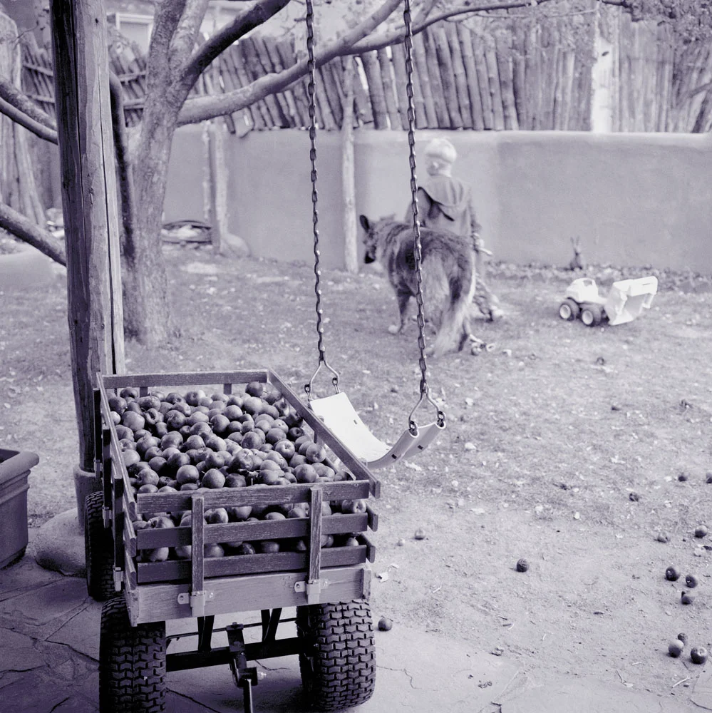 18_apple wagon.jpg