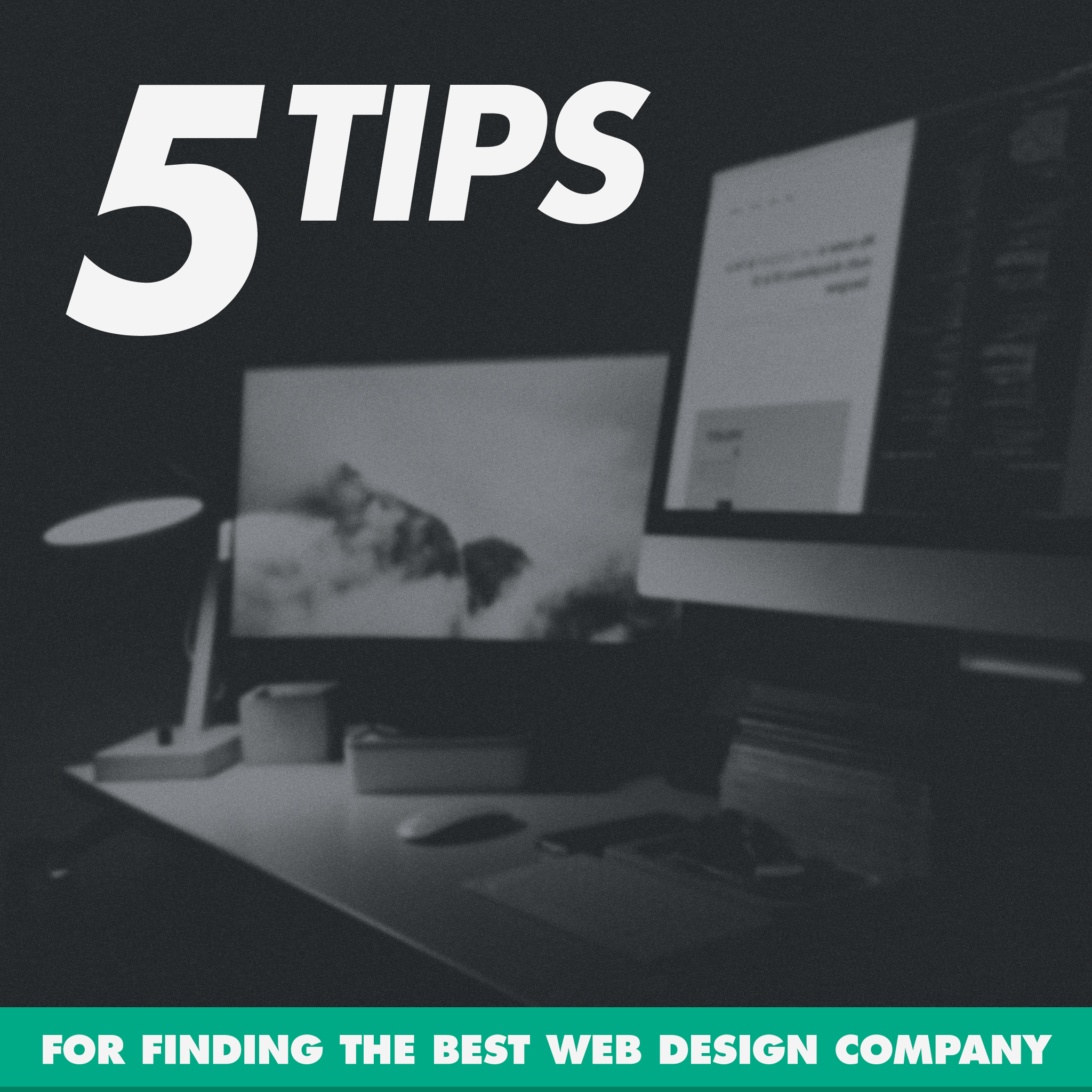 5 Tips.jpg