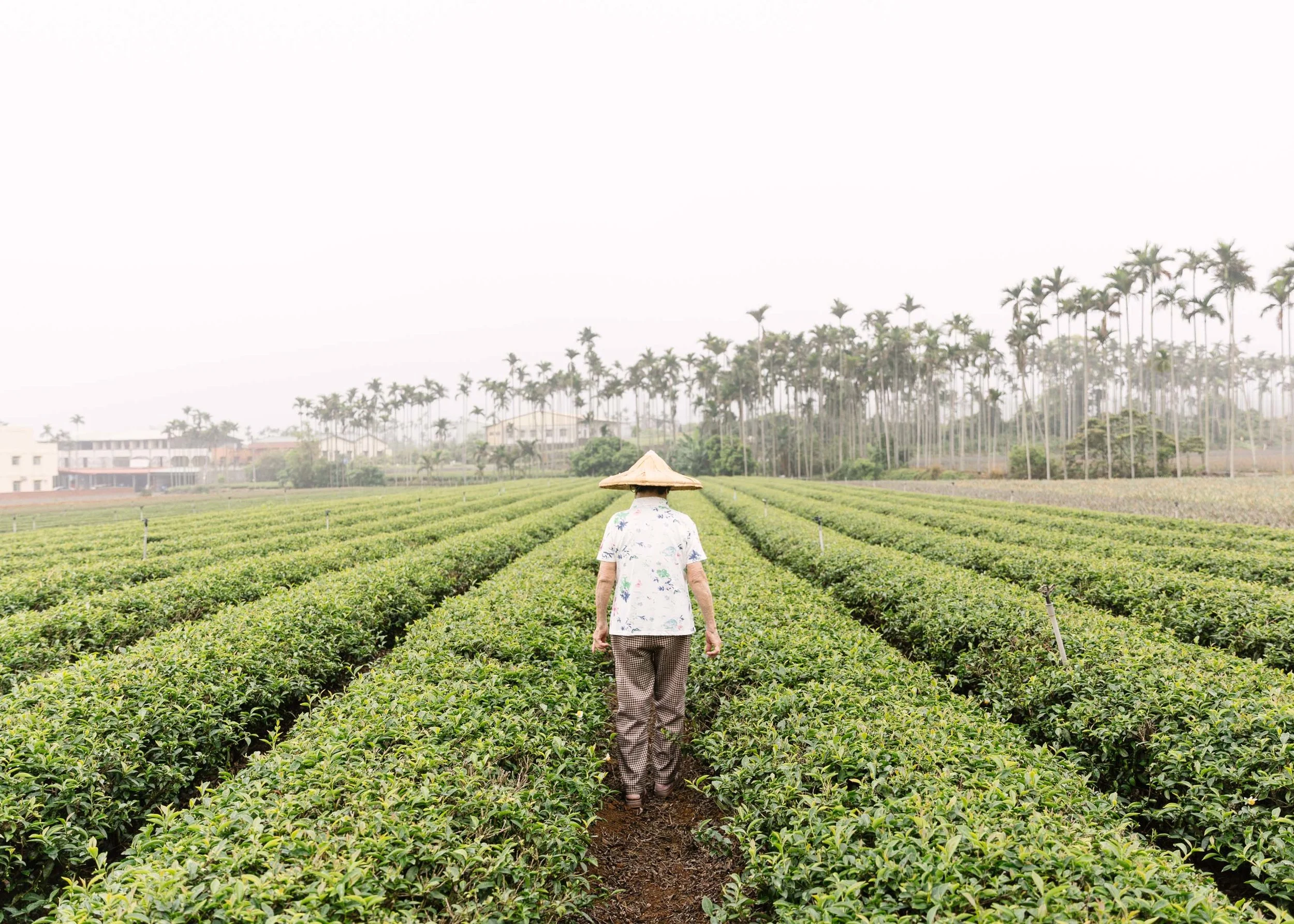 montecristo_magazine_vancouver_love_in_the_laves_taiwan-4.jpg