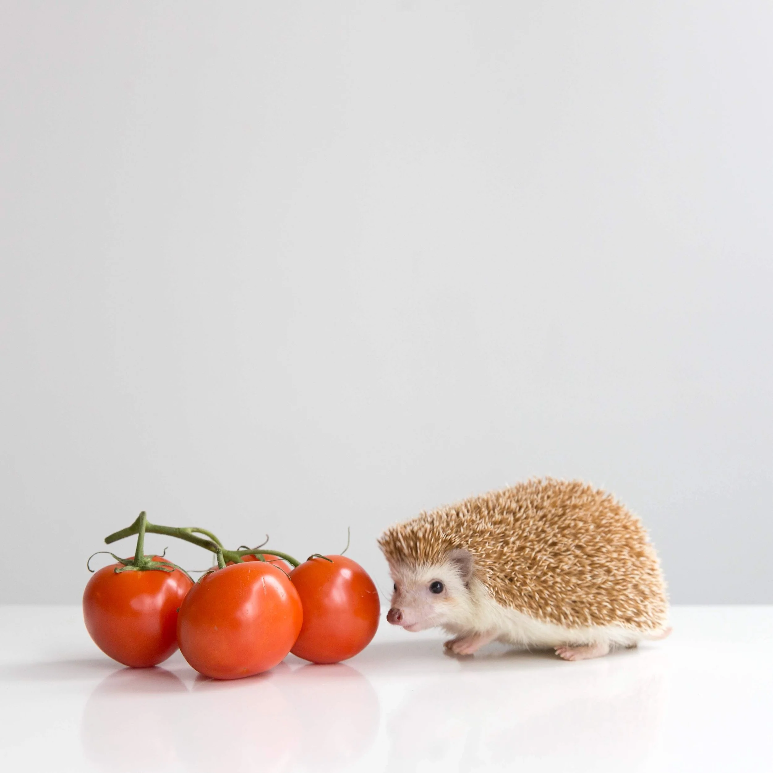 FullSizeRender 4.jpg