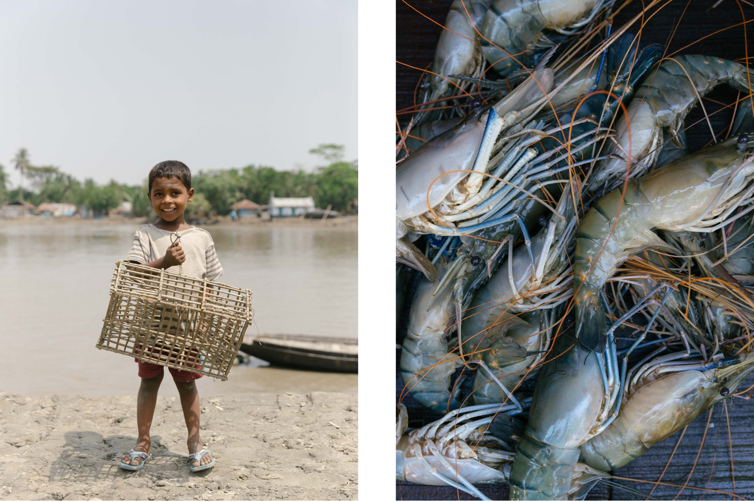 bangladesh_world_vision_canada_child_labour.jpg