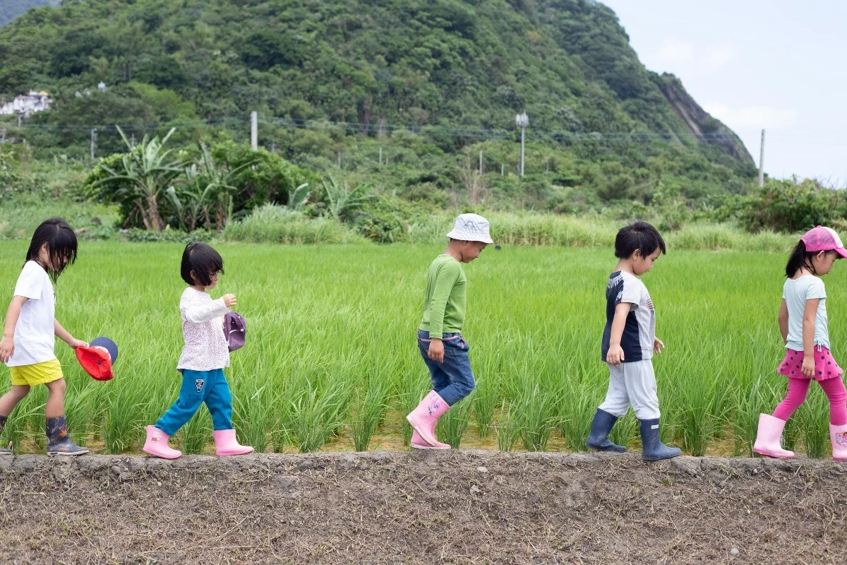 Tamorak students on their way to classes in the field. These toddlers show surprising agility climbing hills and trekking down mountains.