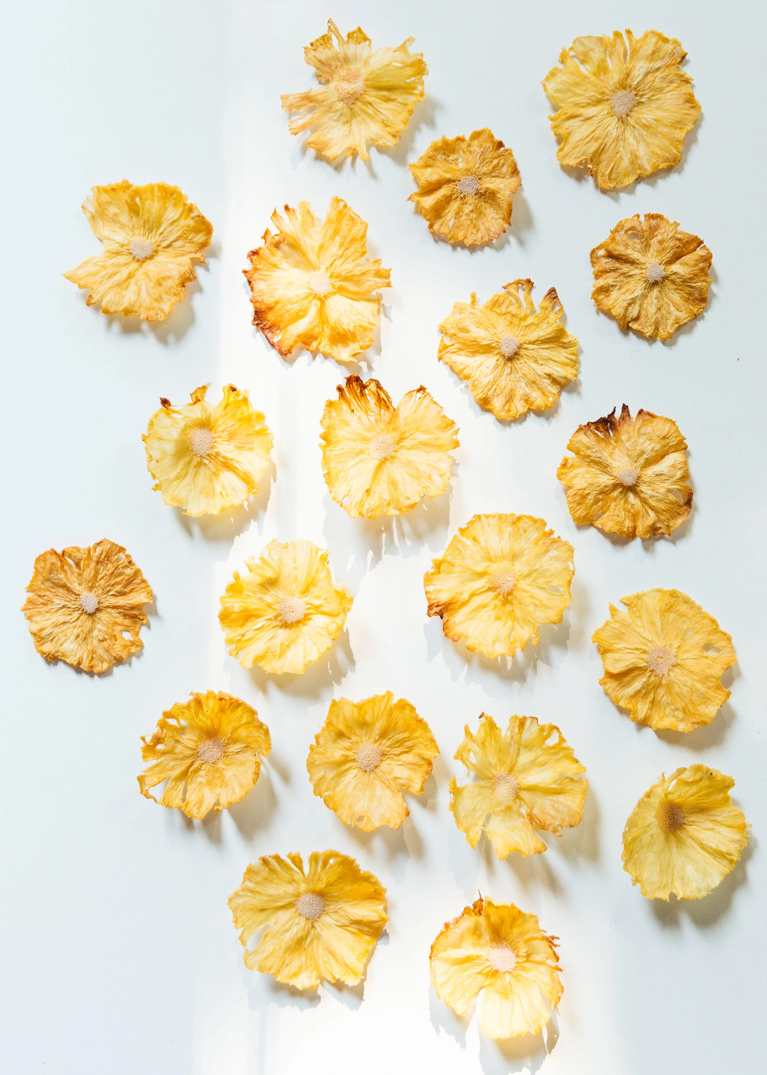 dried pineapple flowers in afternoon light