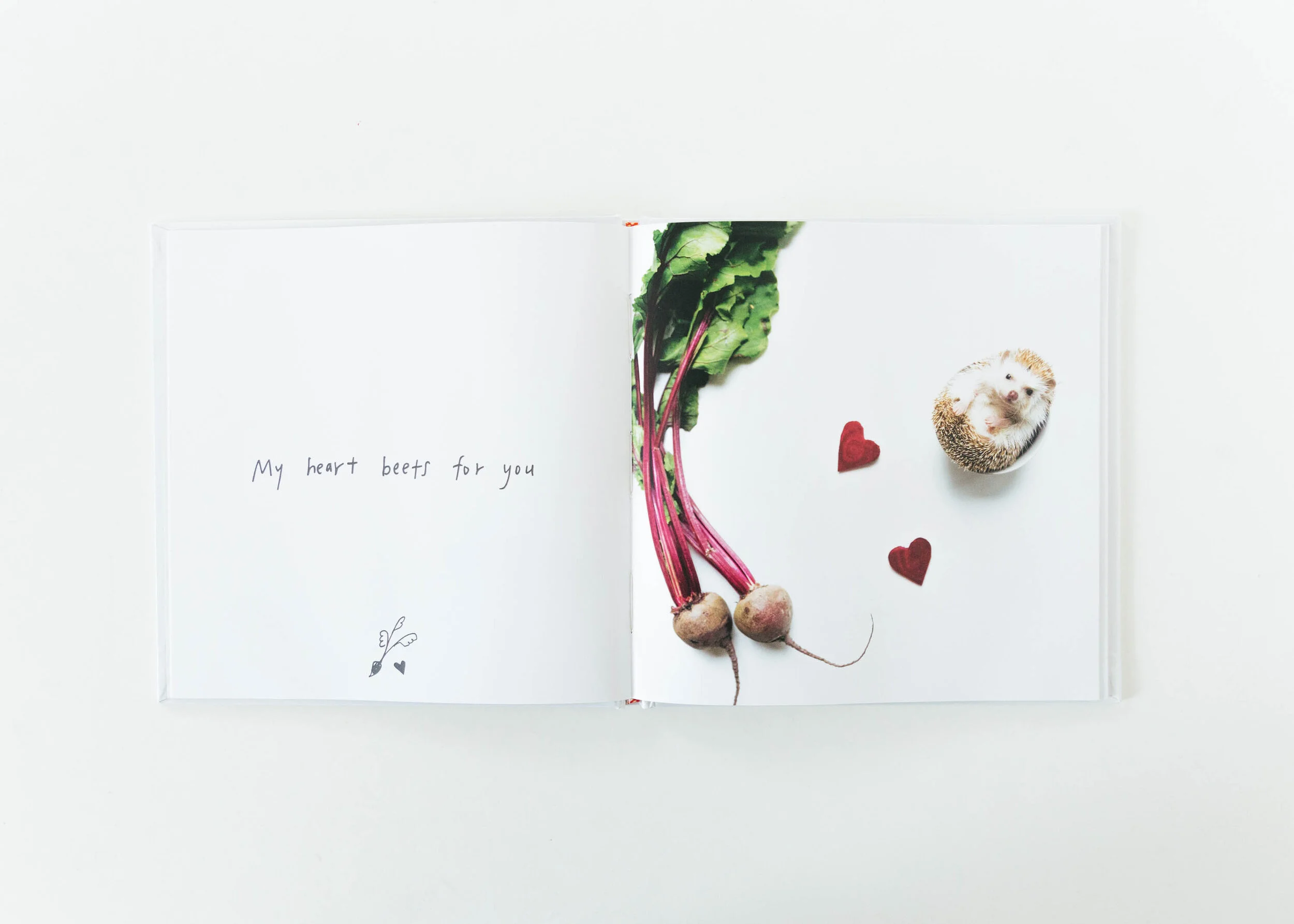 muji_amelia_hedgehog-book-3.jpg