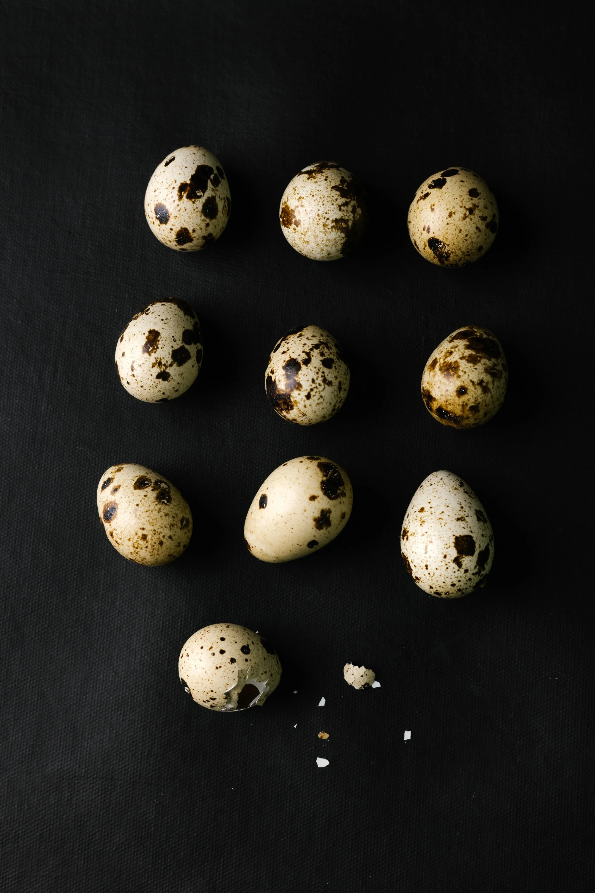 Fine art still life photograph of speckled quail eggs on black background