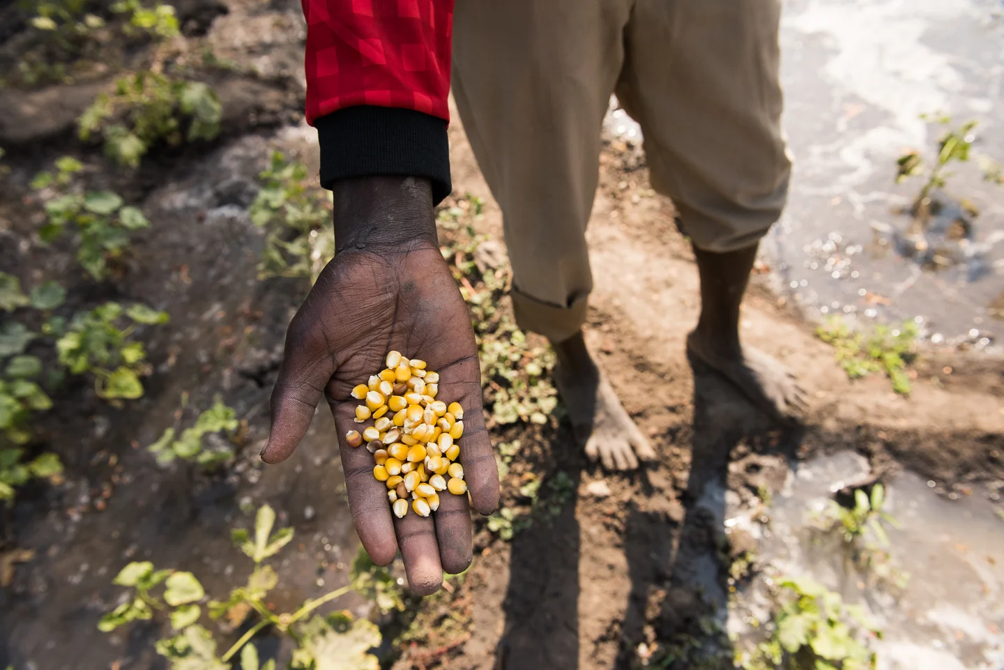 SSudan-2015-0623.jpg
