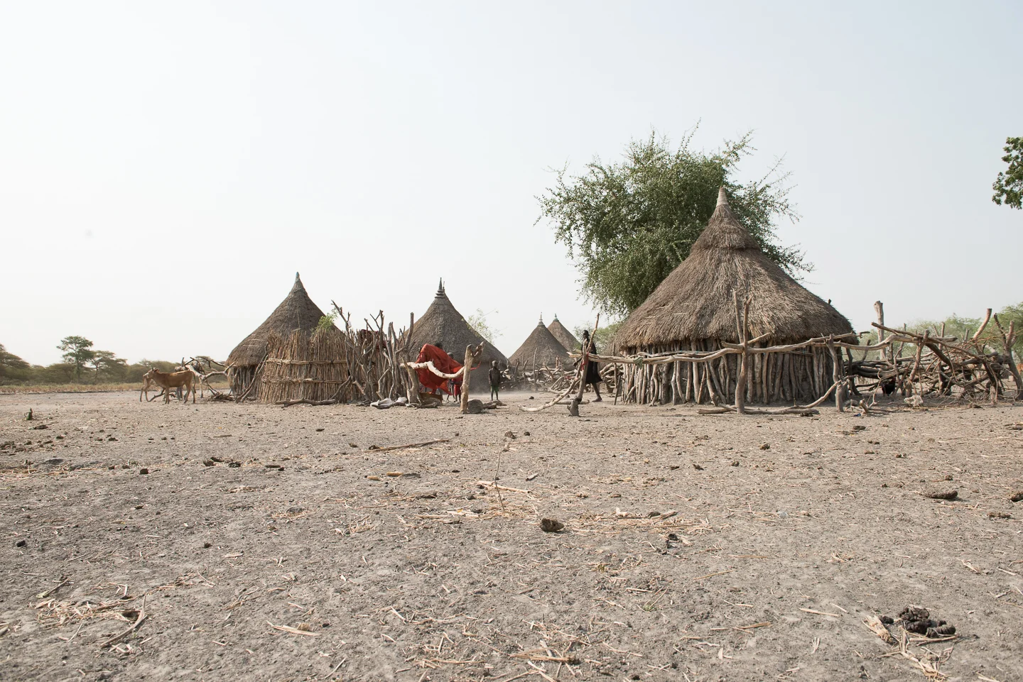 SSudan-2015-2820.jpg