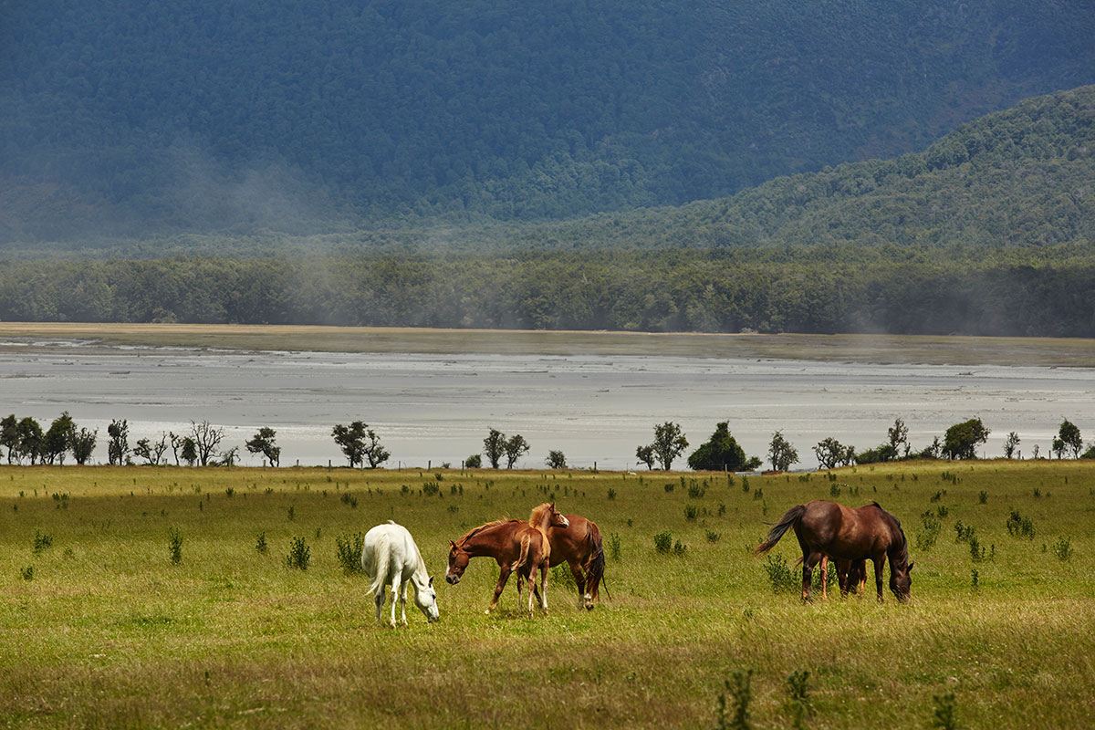 Paradise-Safari-10-web.jpg