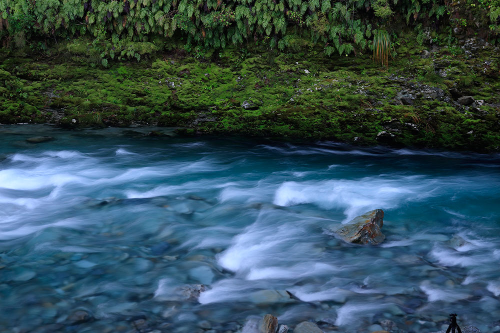 Kinloch-Routeburn-JR--0073.jpg