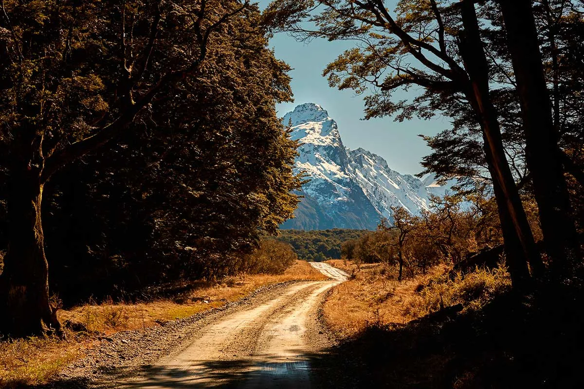 Paradise-Safari-14-web.jpg