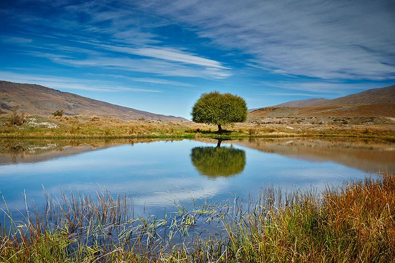 Photo-safari-Nevis-Safari-6-web.jpg