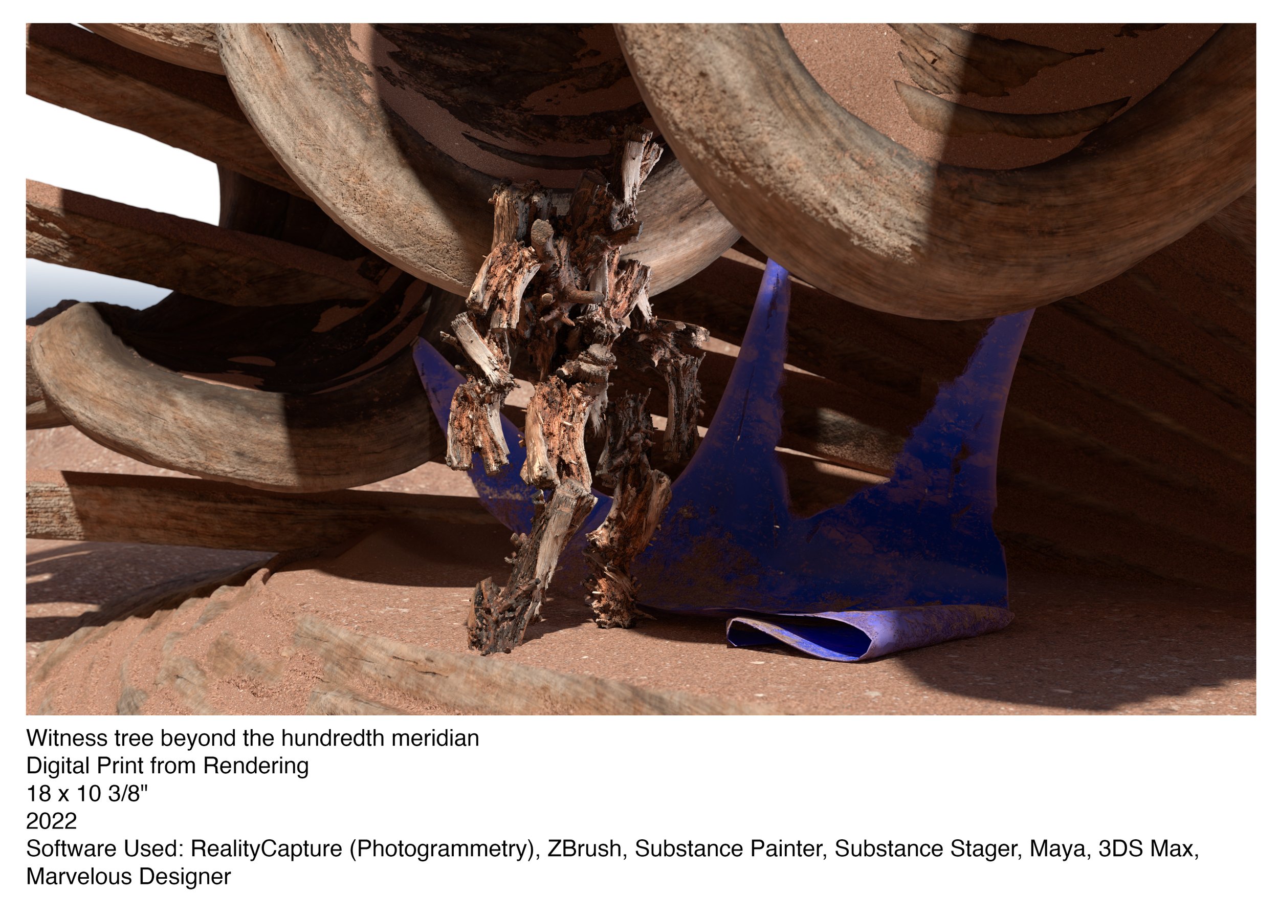 witness tree beyond the hundredth meridian (Copy)