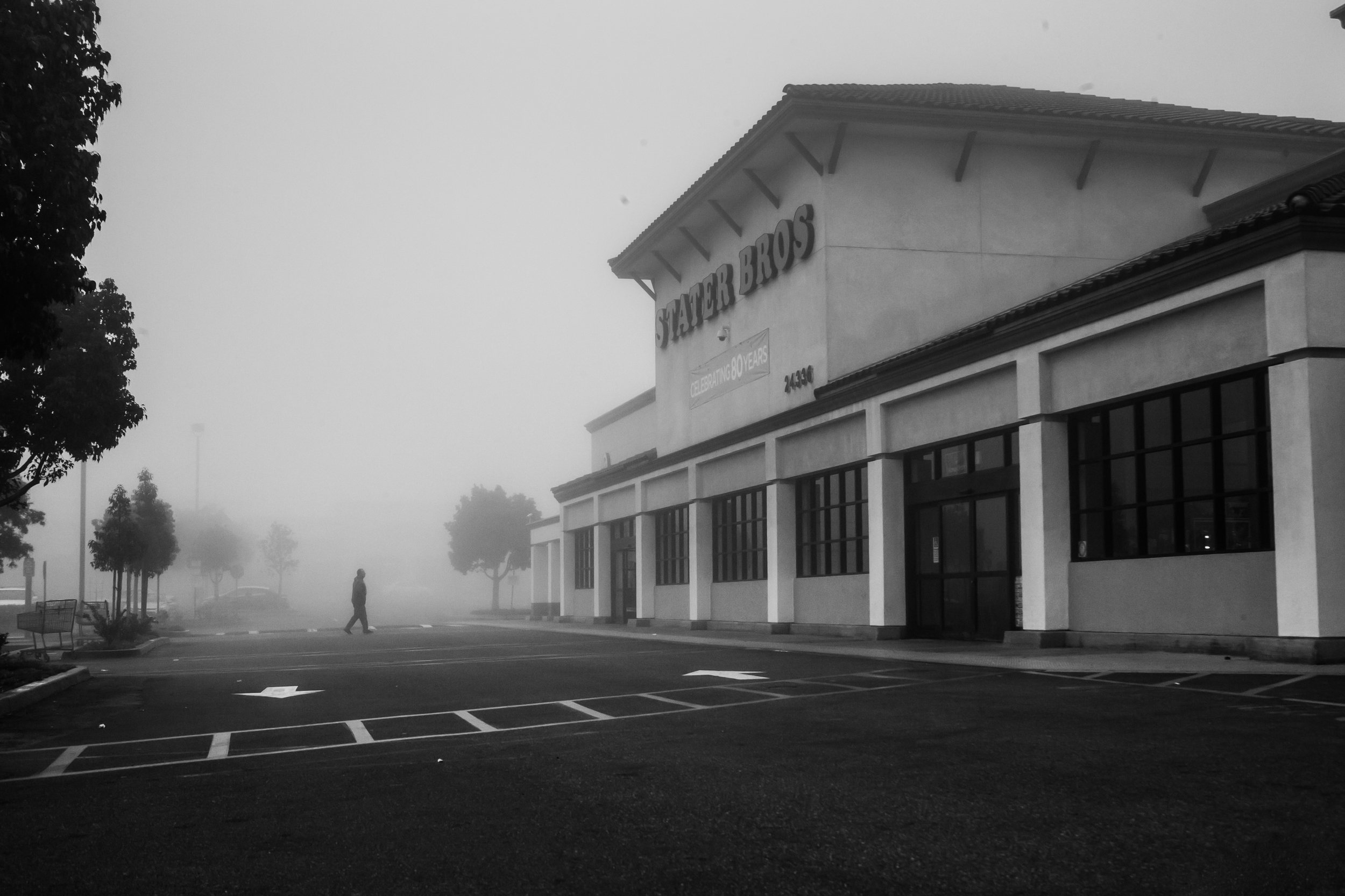 fog-20.jpg