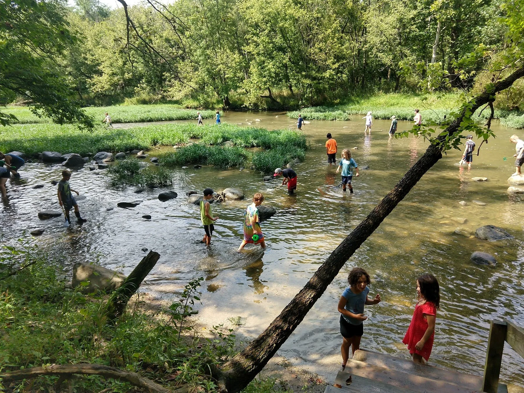 Citizen Scientists: Monitoring Macroinvertebrates