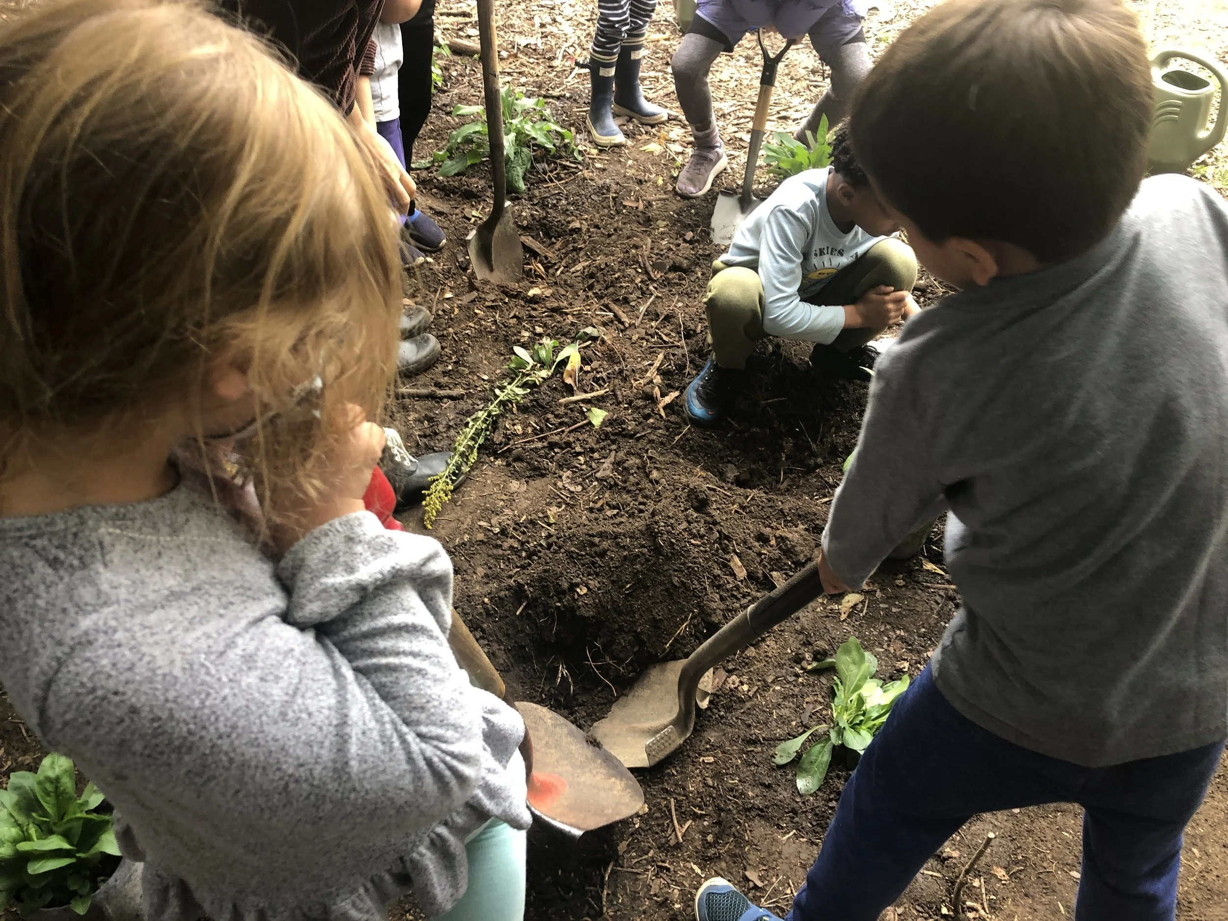 Plant It and They Will Come