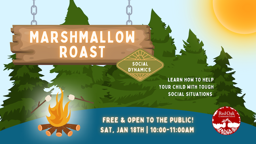 Marshmallow Roast - Social Dynamics